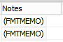 MemoFMT