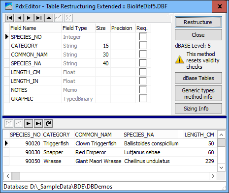 RenameResizeFieldsExtDb5